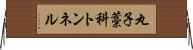 丸子藁科トンネル Horizontal Wall Scroll