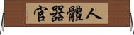 人體器官 Horizontal Wall Scroll