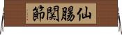 仙腸関節 Horizontal Wall Scroll