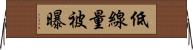 低線量被曝 Horizontal Wall Scroll