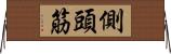 側頭筋 Horizontal Wall Scroll