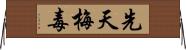 先天梅毒 Horizontal Wall Scroll