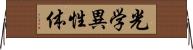 光学異性体 Horizontal Wall Scroll