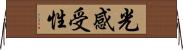 光感受性 Horizontal Wall Scroll