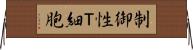 制御性Ｔ細胞 Horizontal Wall Scroll