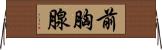 前胸腺 Horizontal Wall Scroll