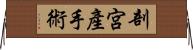 剖宮產手術 Horizontal Wall Scroll