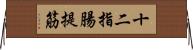 十二指腸提筋 Horizontal Wall Scroll