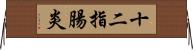 十二指腸炎 Horizontal Wall Scroll