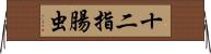 十二指腸虫 Horizontal Wall Scroll