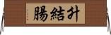升結腸 Horizontal Wall Scroll