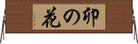 卯の花 Horizontal Wall Scroll