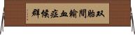双胎間輸血症候群 Horizontal Wall Scroll