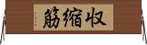 収縮筋 Horizontal Wall Scroll