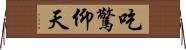 吃驚仰天 Horizontal Wall Scroll