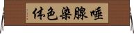 唾腺染色体 Horizontal Wall Scroll