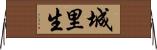 城里生 Horizontal Wall Scroll