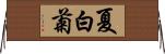 夏白菊 Horizontal Wall Scroll