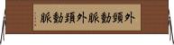 外頸動脈 Horizontal Wall Scroll