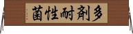 多剤耐性菌 Horizontal Wall Scroll