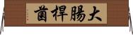 大腸桿菌 Horizontal Wall Scroll