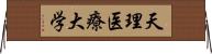 天理医療大学 Horizontal Wall Scroll