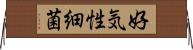 好気性細菌 Horizontal Wall Scroll