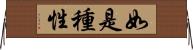 如是種性 Horizontal Wall Scroll