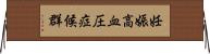 妊娠高血圧症候群 Horizontal Wall Scroll