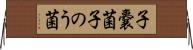子嚢菌 Horizontal Wall Scroll