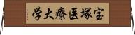 宝塚医療大学 Horizontal Wall Scroll