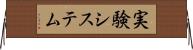 実験システム Horizontal Wall Scroll