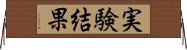 実験結果 Horizontal Wall Scroll