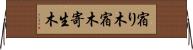 宿り木 Horizontal Wall Scroll