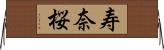 寿奈桜 Horizontal Wall Scroll