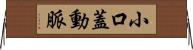 小口蓋動脈 Horizontal Wall Scroll