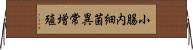 小腸内細菌異常増殖 Horizontal Wall Scroll