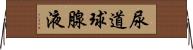 尿道球腺液 Horizontal Wall Scroll