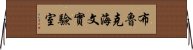 布魯克海文實驗室 Horizontal Wall Scroll