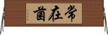 常在菌 Horizontal Wall Scroll