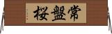 常盤桜 Horizontal Wall Scroll