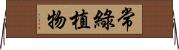 常綠植物 Horizontal Wall Scroll