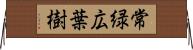 常緑広葉樹 Horizontal Wall Scroll