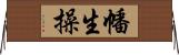 幡生操 Horizontal Wall Scroll