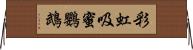 彩虹吸蜜鸚鵡 Horizontal Wall Scroll