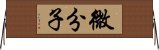 微分子 Horizontal Wall Scroll