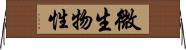 微生物性 Horizontal Wall Scroll