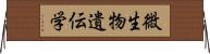 微生物遺伝学 Horizontal Wall Scroll
