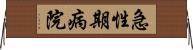 急性期病院 Horizontal Wall Scroll