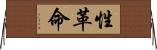性革命 Horizontal Wall Scroll
